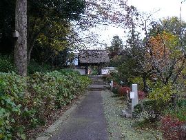 大聖寺参道と両側の植栽