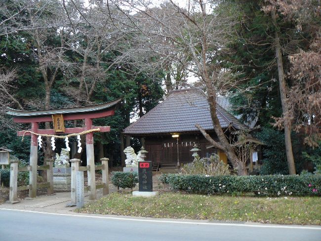 ���������_��