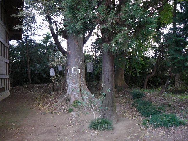 ���������_��