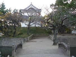 �y�Y��i�T��j�̗����`�ɂ͐l�C���Ȃ�����