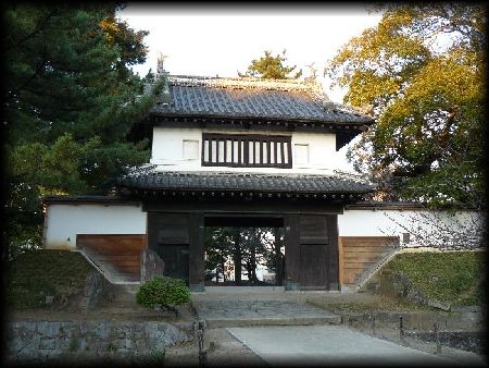 �y�Y��i�T��j�̏ے��I�ȑ��݂ł��鑾�ۘE��