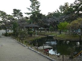 �����M��Ɖ�������y�Y��i�T��j��̊�