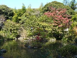 ���鎛�뉀�ƐS���r