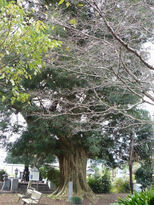 ���v�s�E�����@