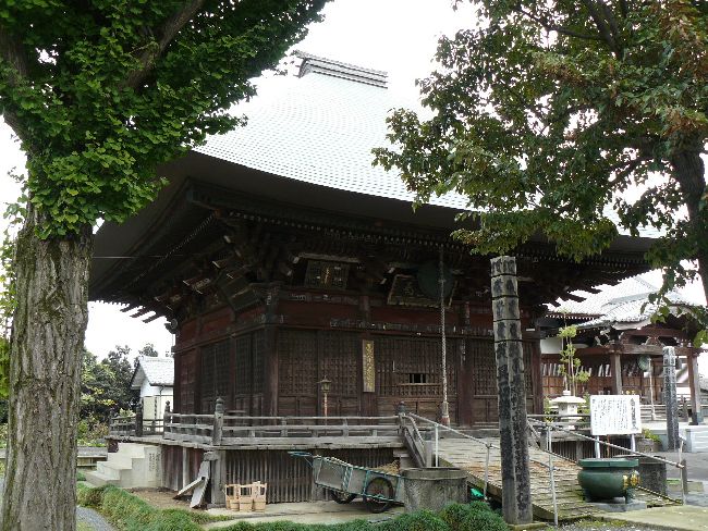 �V���J��