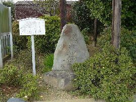 �V���J�������Ɍ������ꂽ���шꒃ�̋��