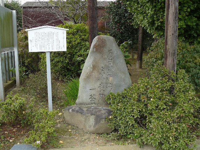 �V���J��