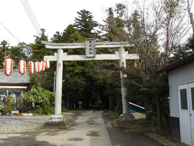 �����_��