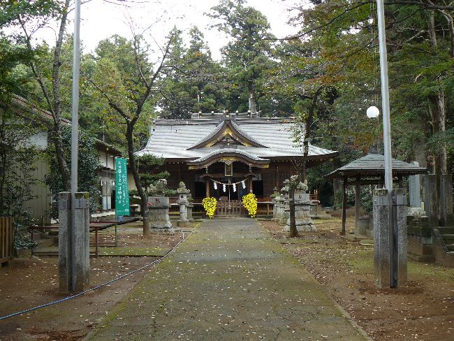 �����_��