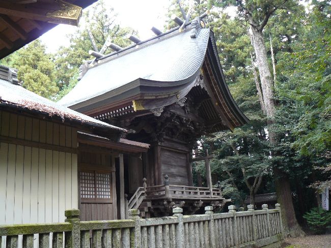 �����_��