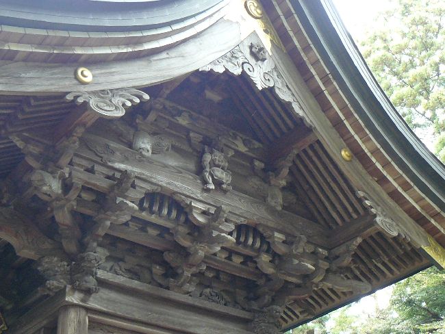 �����_��