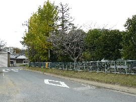 �����w���F�w�����̐A�̗͂l�q