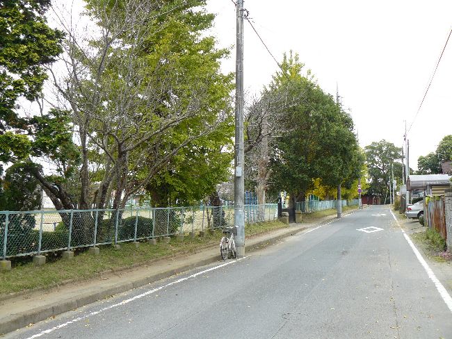 �����w��