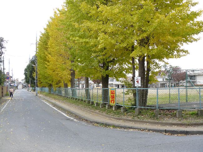 �����w��