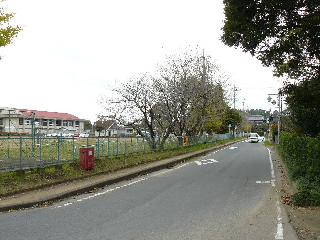 �����w��