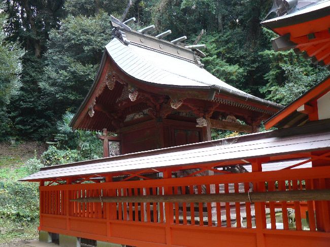 �����F��_��