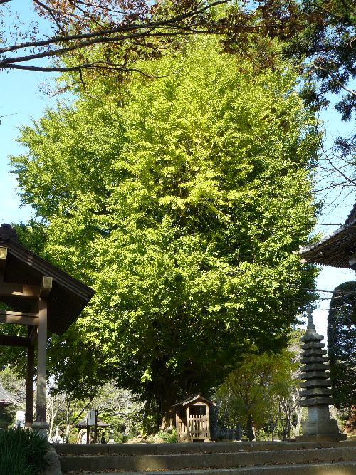 �s���s�E���@��