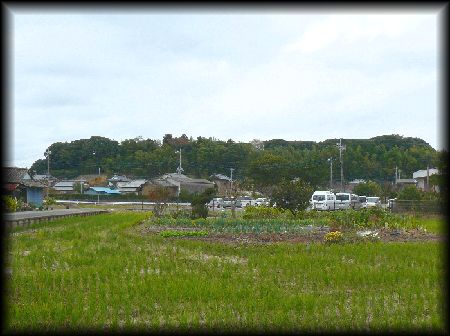 ������F���S�i