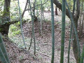 ������F��x