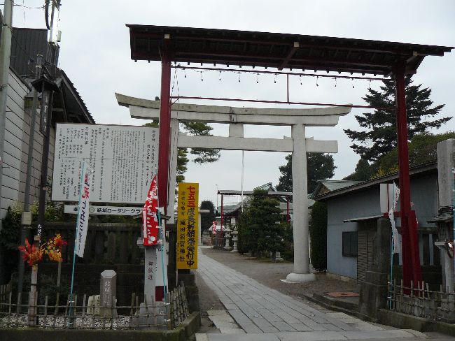 ���c�{��_��