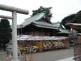 健田須賀神社社殿全景と菊祭り